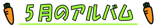 5月のアルバム